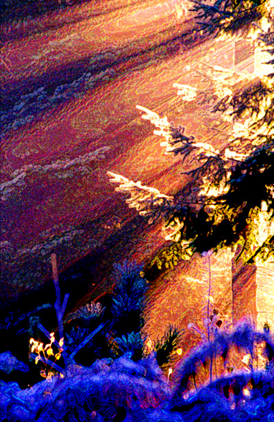 Forest fire